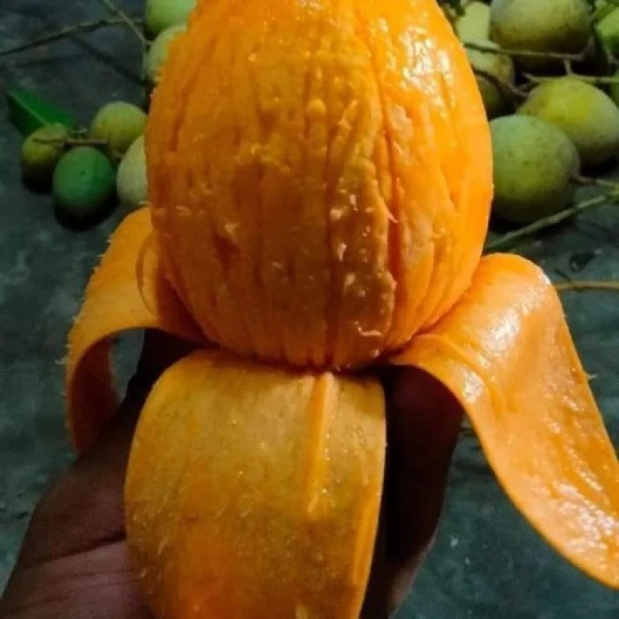 30 কেজি গোবিন্দভোগ আম 3900 টাকা