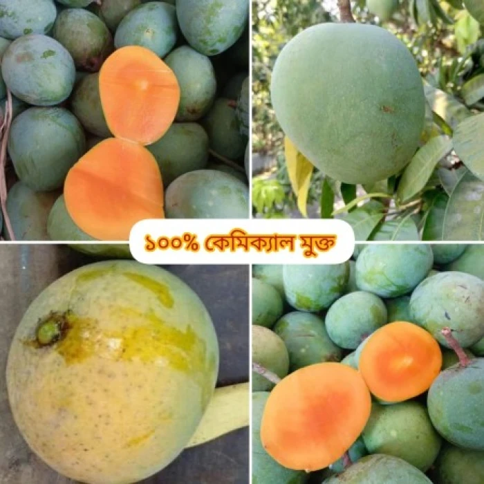 সাতক্ষীরার হিমসাগর আম (ফ্রি ডেলিভারি )
